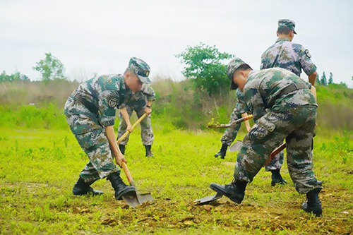 机动哨兵助力部队野外驻训视频监控